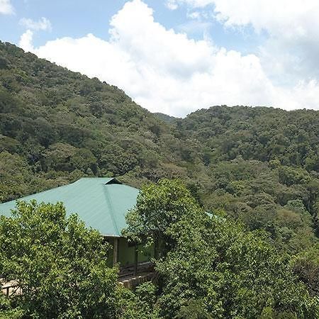 Gorilla Hills Eco-Lodge Kisoro Luaran gambar