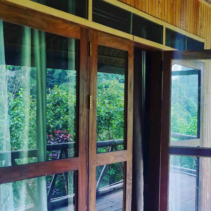 Gorilla Hills Eco-Lodge Kisoro Luaran gambar