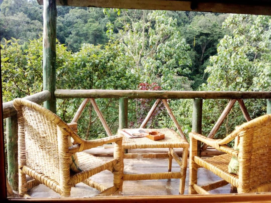 Gorilla Hills Eco-Lodge Kisoro Luaran gambar