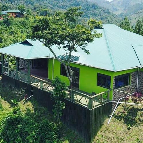 Gorilla Hills Eco-Lodge Kisoro Luaran gambar