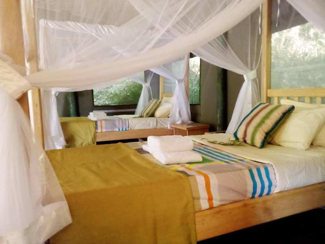 Gorilla Hills Eco-Lodge Kisoro Luaran gambar