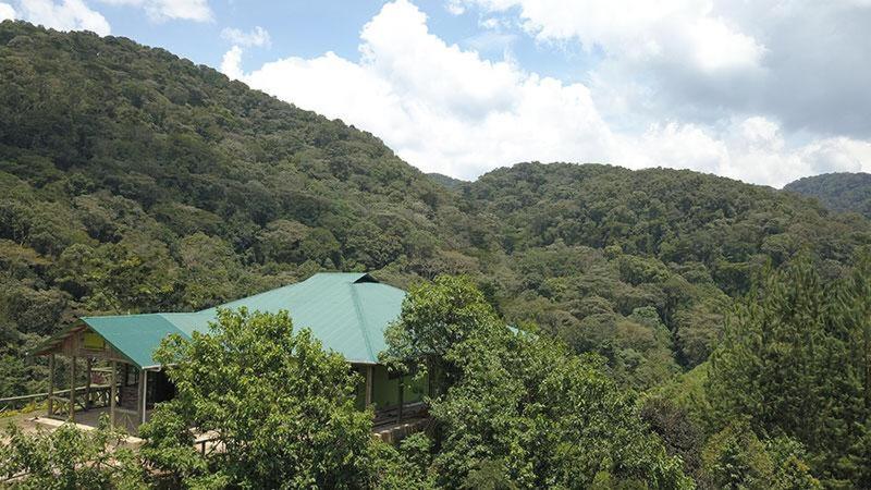 Gorilla Hills Eco-Lodge Kisoro Luaran gambar