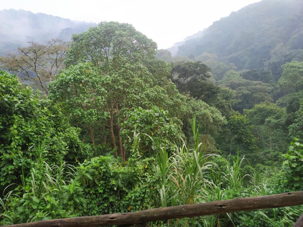Gorilla Hills Eco-Lodge Kisoro Luaran gambar