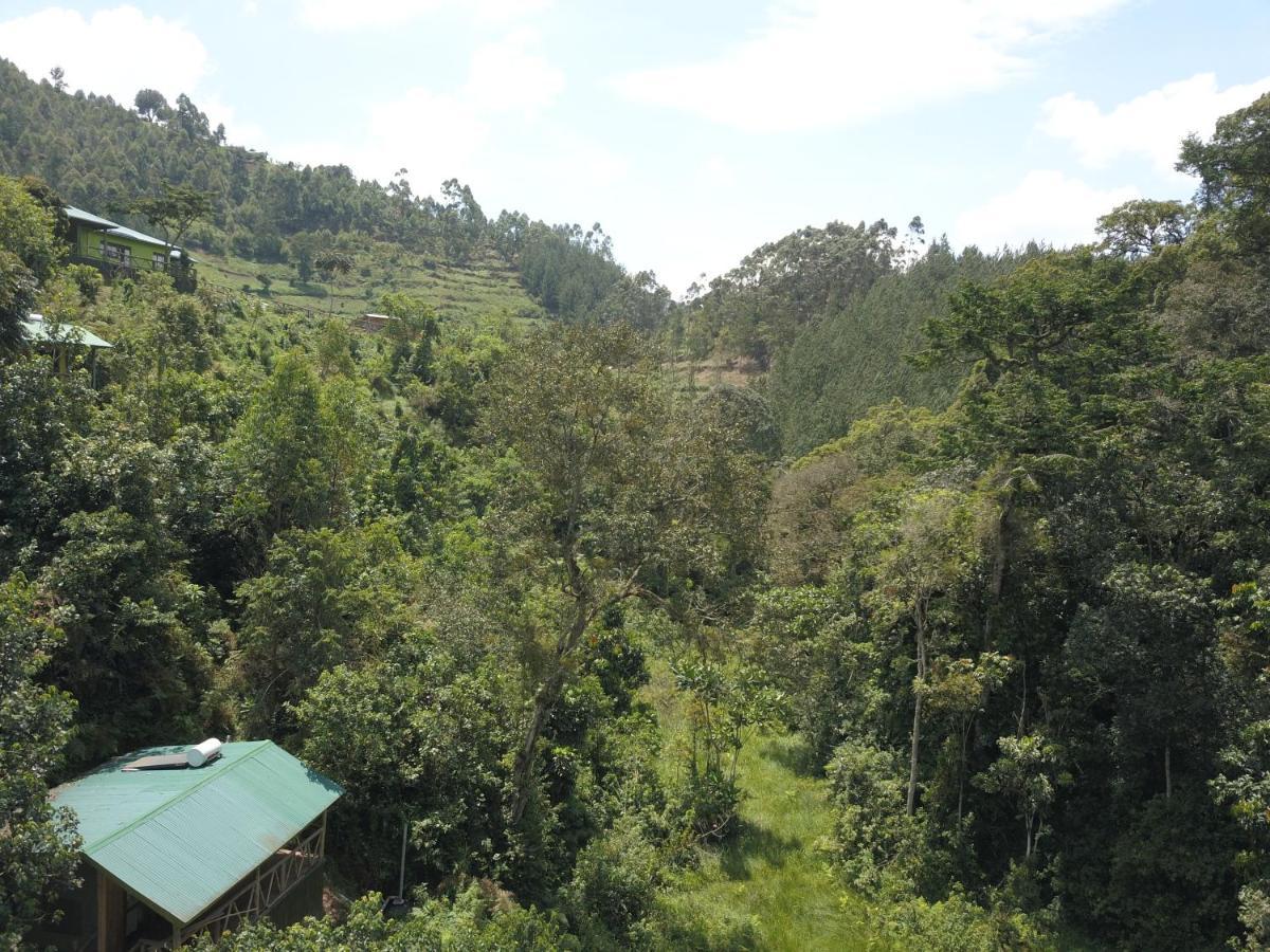 Gorilla Hills Eco-Lodge Kisoro Luaran gambar